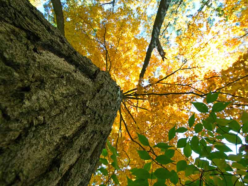 Mildcoaching loopbaancoach en stresscach in Haren-Groningen- perspectief 3