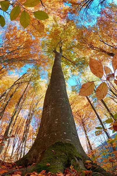 Loopbaancoaching in Groningen en Haren-1