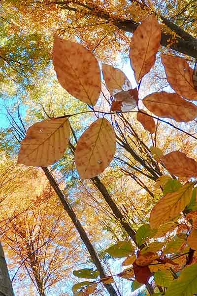 Loopbaancoaching in Groningen en Haren - 2