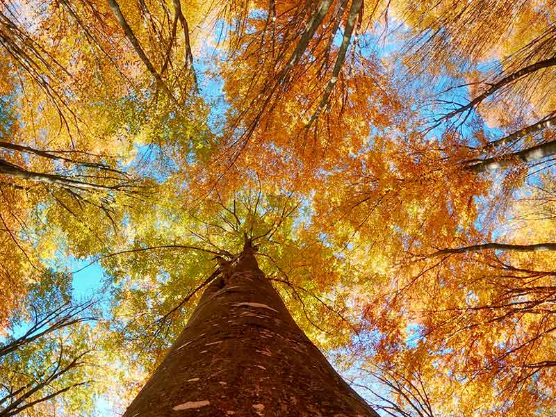 Mild-Coaching-natuur-in-Haren