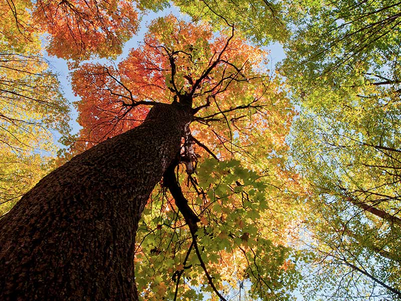 het persoonlijke verhaal van stresscoach en loopbaanbegeleider is perspectief geven