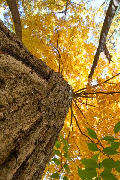 Mildcoaching loopbaancoach en stresscach in Haren-Groningen- perspectief 3
